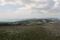 thn_IMG_2355.jpg