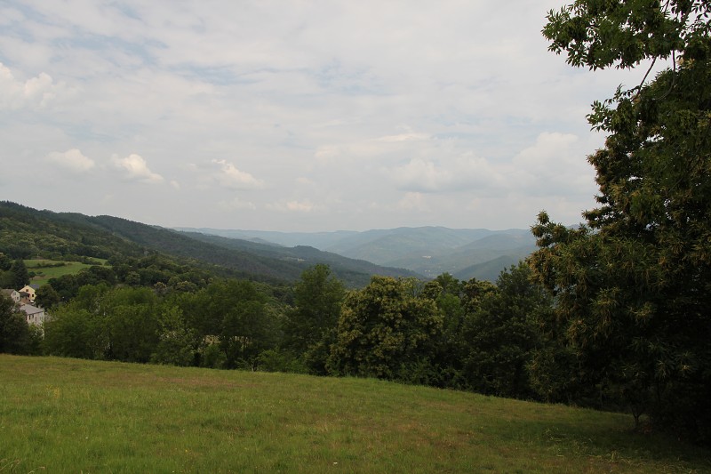 IMG_2524.jpg