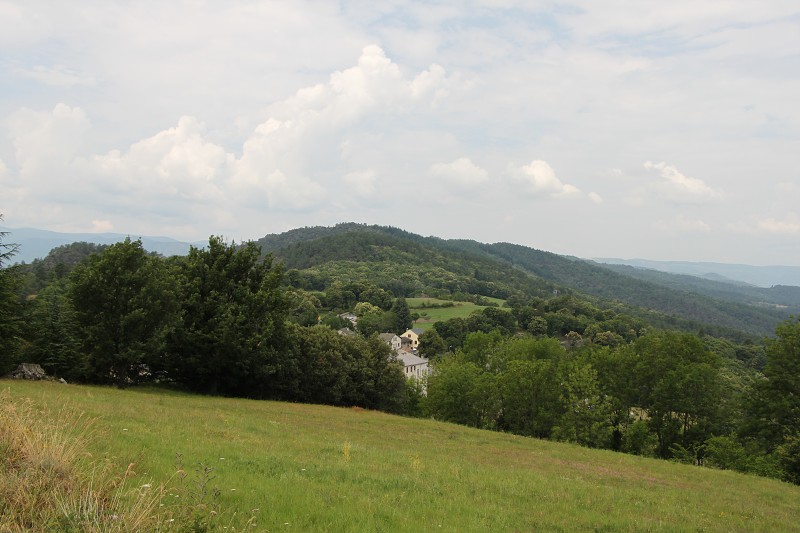 IMG_2527.jpg