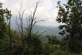 thn_IMG_2531.jpg