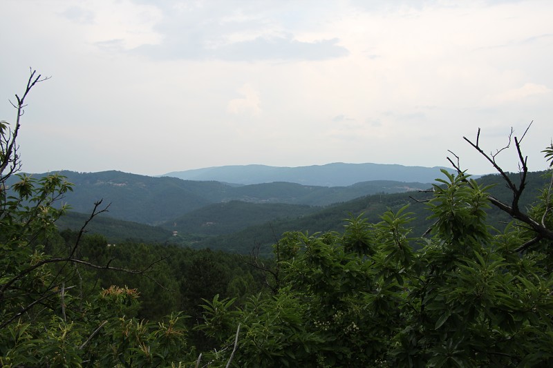 IMG_2566.jpg