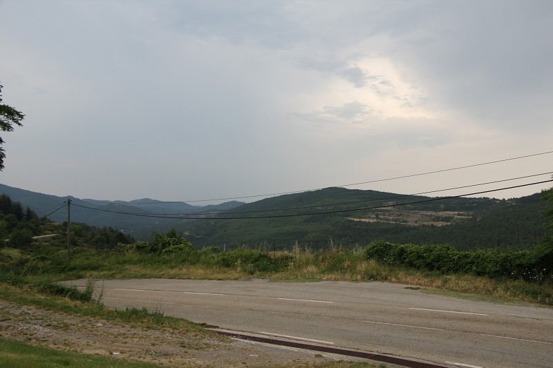 IMG_2572.jpg
