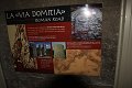 thn_IMG_2642.jpg