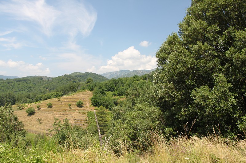 IMG_2741.jpg