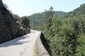 thn_IMG_2736.jpg