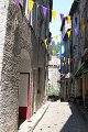 thn_IMG_2791.jpg