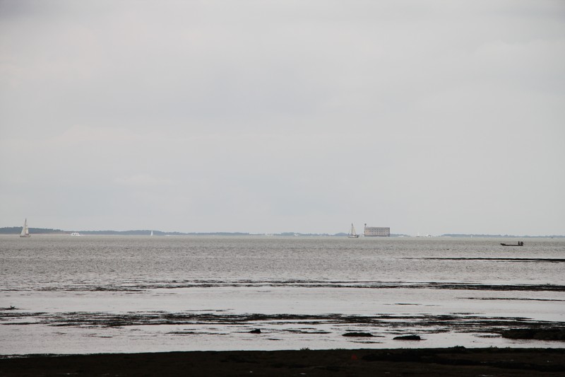 IMG_5266.jpg