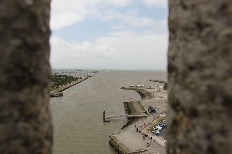 IMG_5313.jpg