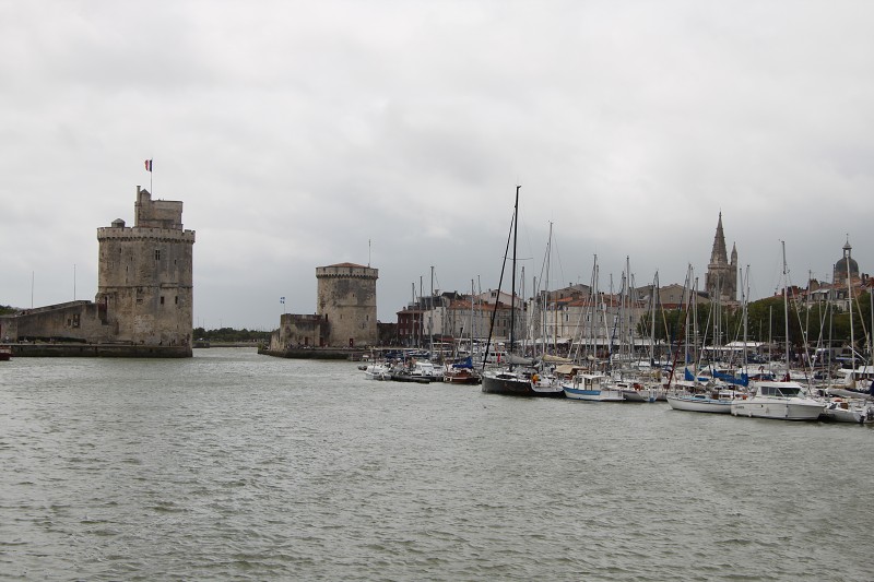IMG_5330.jpg