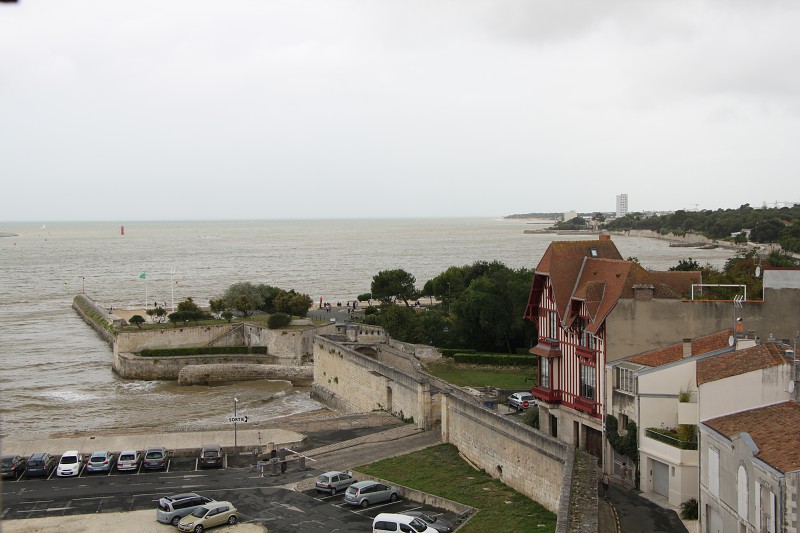 IMG_5343.jpg
