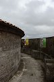 thn_P8100333.jpg