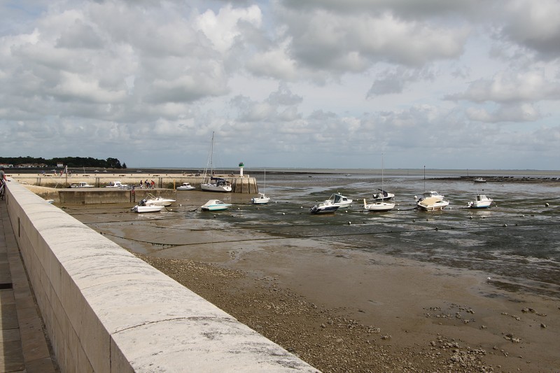 IMG_5419.jpg