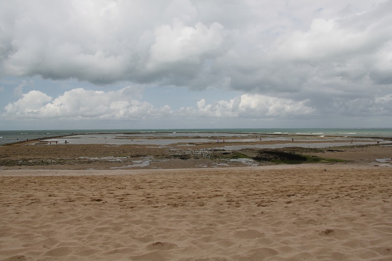 IMG_5432.jpg