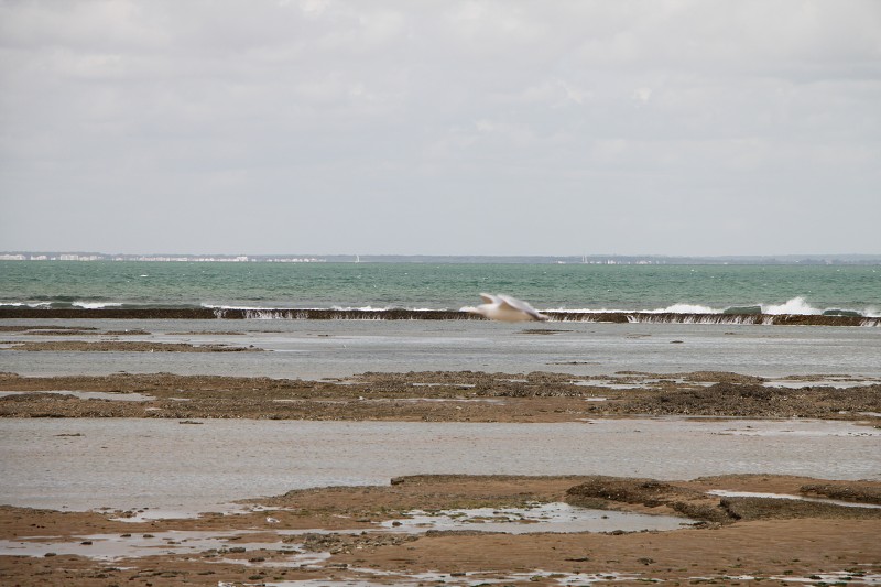 IMG_5433.jpg