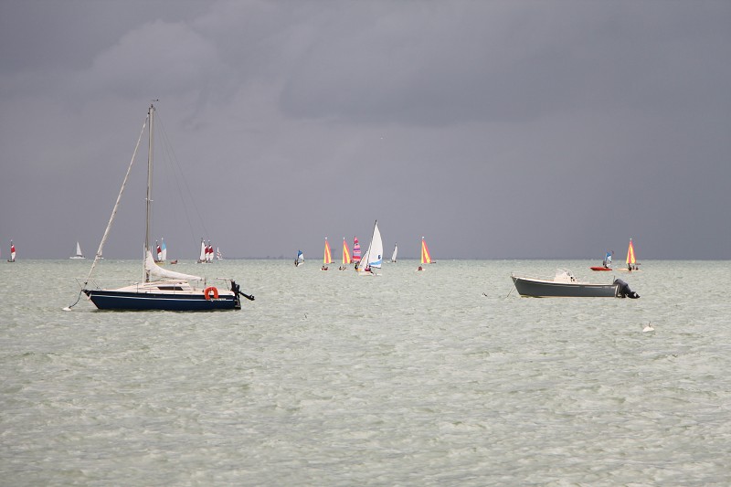 IMG_5455.jpg