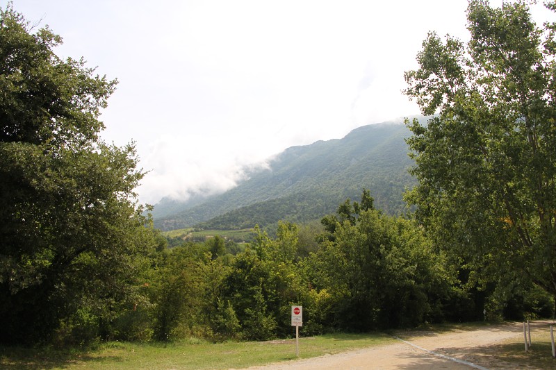 IMG_5688.jpg