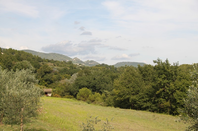 IMG_5721.jpg