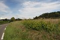thn_IMG_5720.jpg
