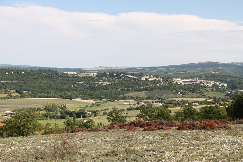 IMG_5824.jpg
