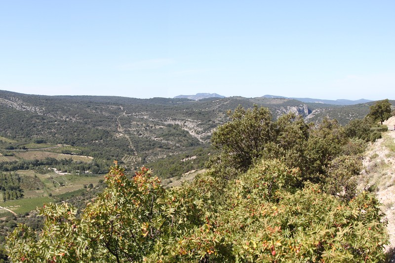 IMG_5833_panorama.jpg