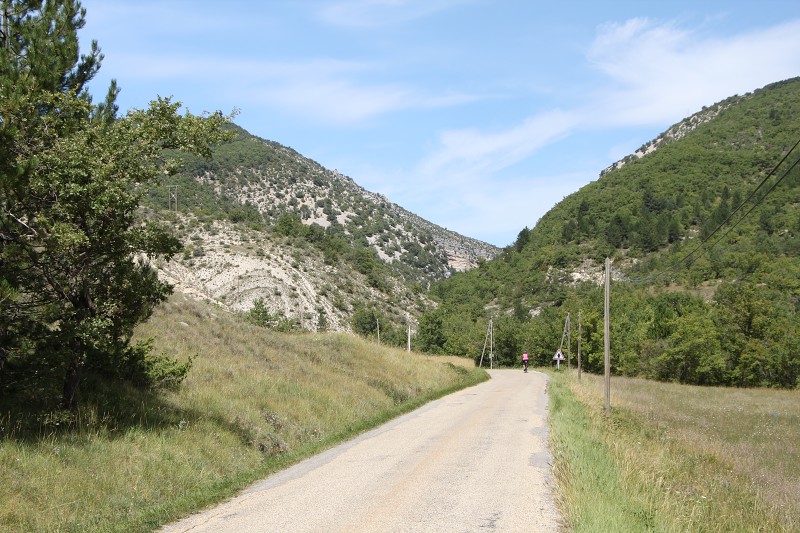 IMG_5872.jpg