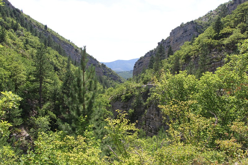 IMG_5874.jpg