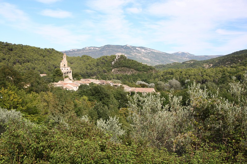 IMG_5907.jpg