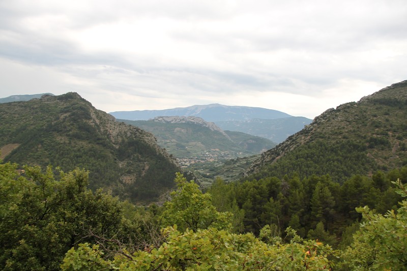 IMG_5931.jpg