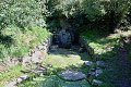 thn_IMG_1408.jpg
