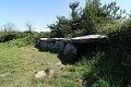 thn_IMG_1463.jpg