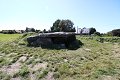 thn_IMG_1466.jpg