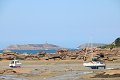 thn_IMG_1471.jpg