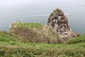 thn_IMG_1541.jpg