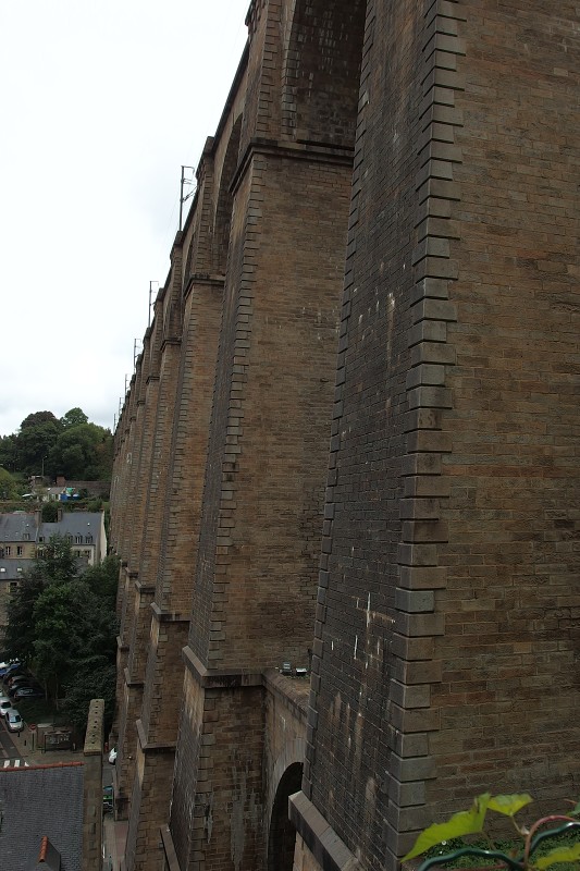 P8200495.jpg