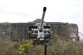 thn_IMG_1760.jpg
