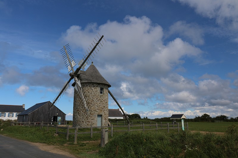 IMG_1856.jpg