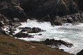 thn_IMG_1880.jpg