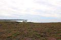 thn_IMG_1909.jpg