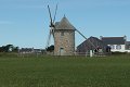 thn_P8230642.jpg