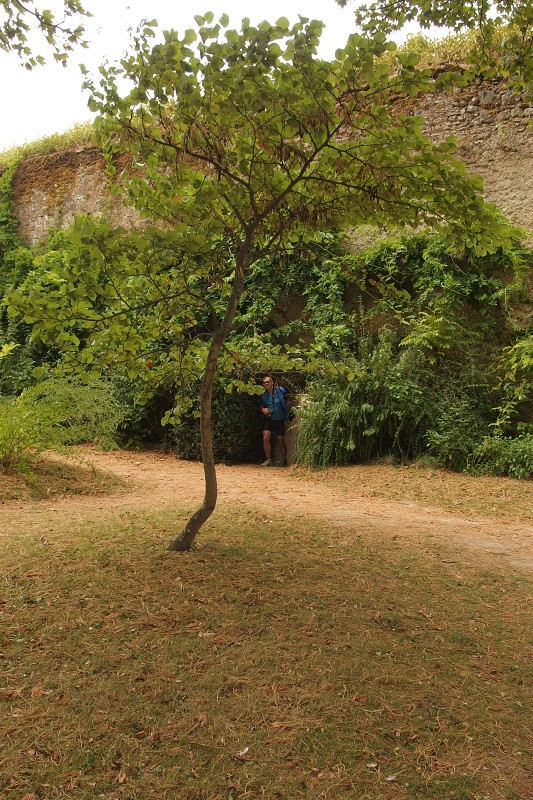 P8250700.jpg