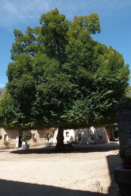 P8290879.jpg