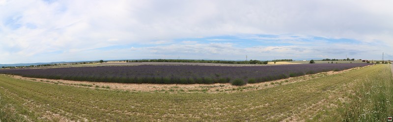 IMG_9319_panorama.jpg