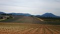 thn_DSC_2852.jpg