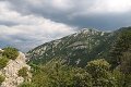 thn_IMG_9369.jpg