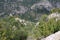 thn_IMG_9371.jpg