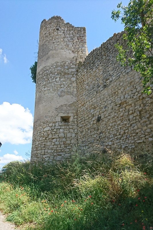 DSC_2889.jpg