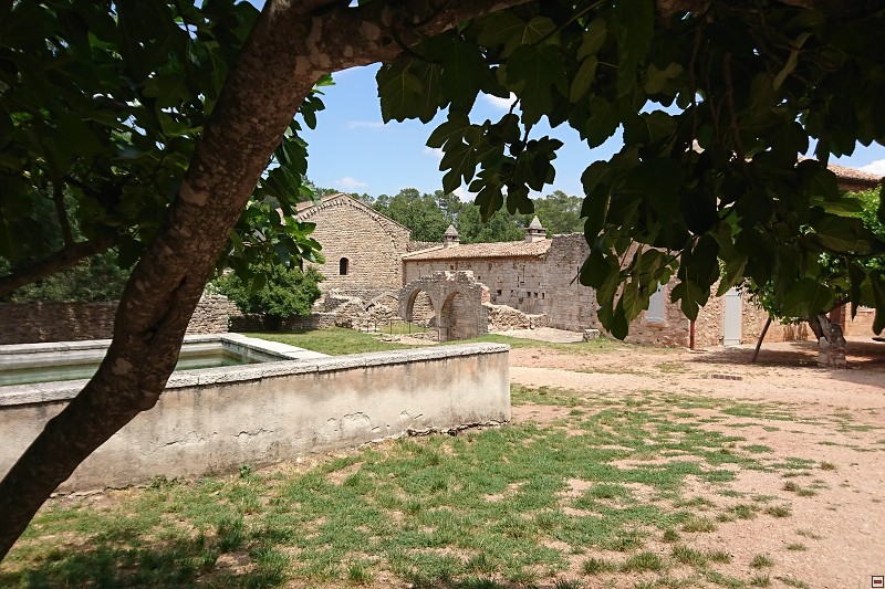 DSC_2914.jpg