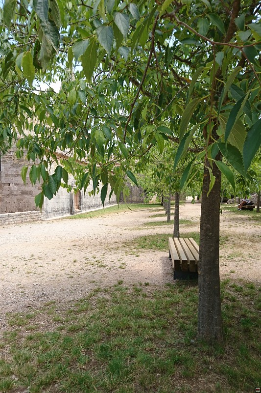 DSC_2916.jpg