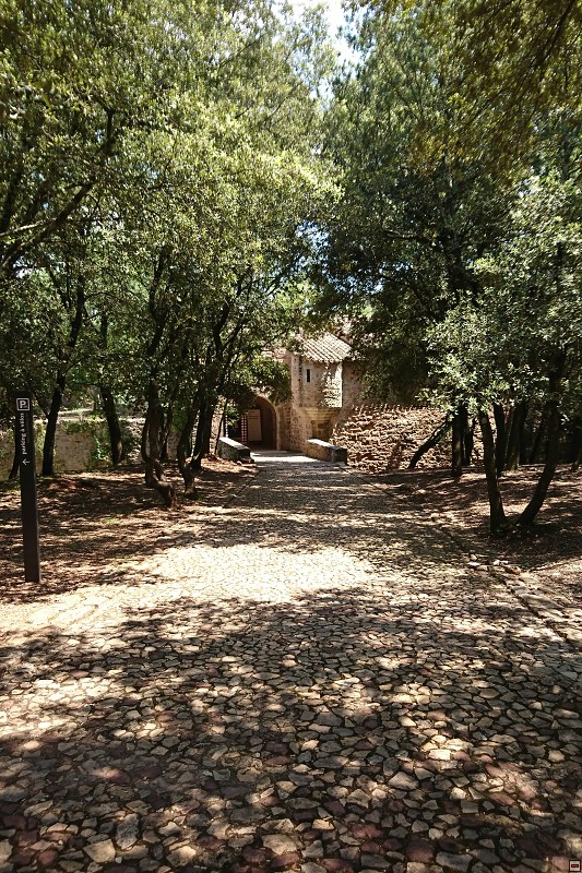 DSC_2935.jpg