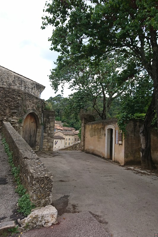DSC_2938.jpg
